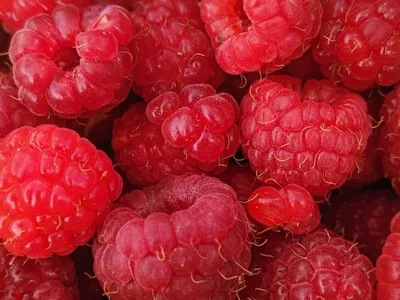 Lamponi freschi chetone del lampone ingrediente Balancio